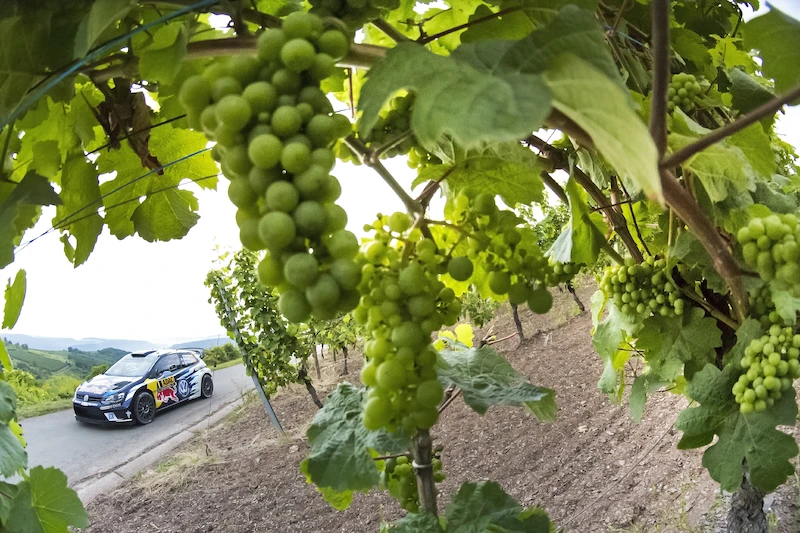 WRC, Rajd Niemiec 2016 - 42.
