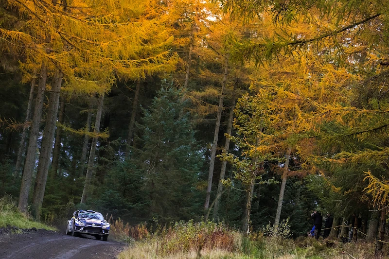 WRC, Rajd Wielkiej Brytanii 2016 - 6.