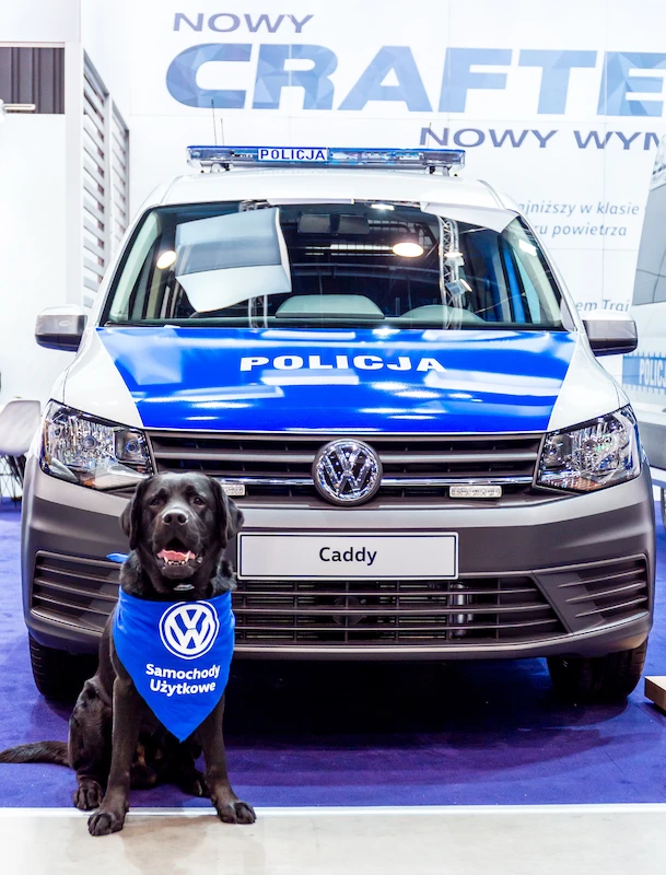 Volkswagen Samochody Użytkowe na targach EUROPOLTECH 2017 - 10.
