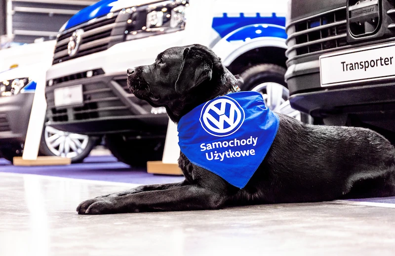 Volkswagen Samochody Użytkowe na targach EUROPOLTECH 2017 - 11.