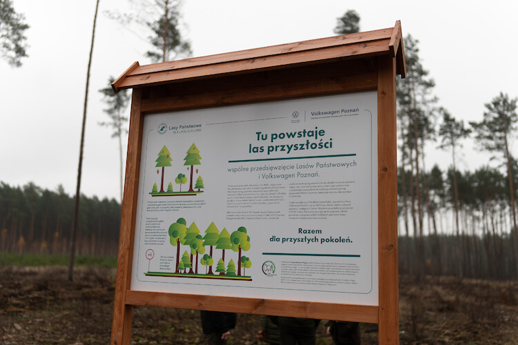 Rozwój w równowadze ze środowiskiem. Pracownicy Volkswagen Poznań posadzili już 100 000 drzew