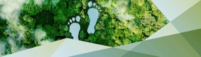 Milion osób na rzecz ochrony klimatu – aktywność pracowników i sieci dealerskiej Grupy...